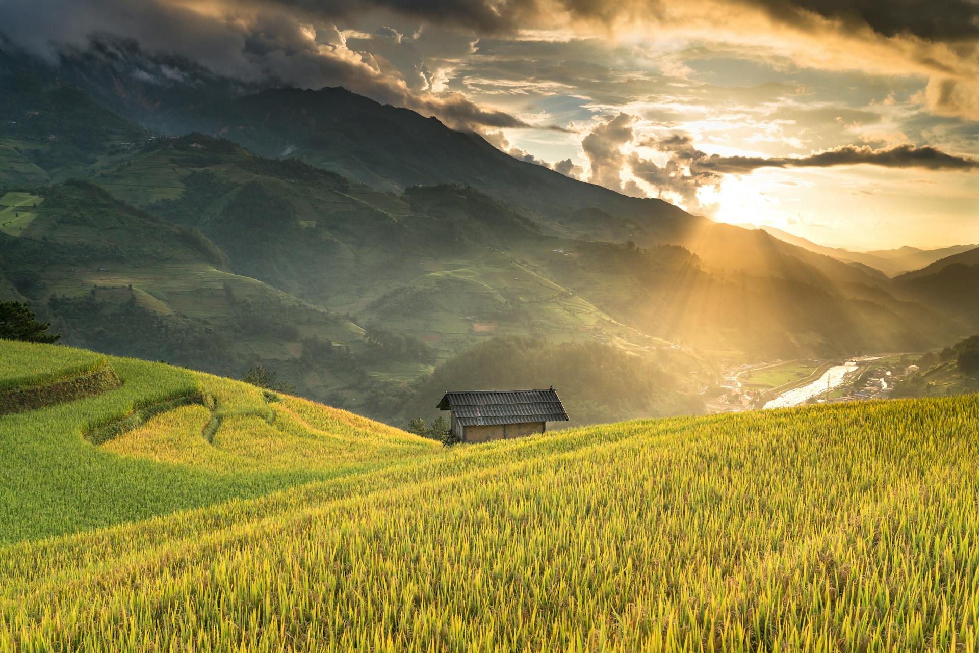 Start your cultural journey with Cat Cat’s serene glow